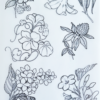 Very cutesy chart 150-250€ - Image 7