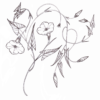 Vine