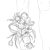 Tulipsiez in a vase - Image 3