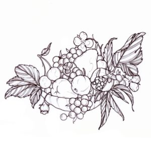 Summer fruits